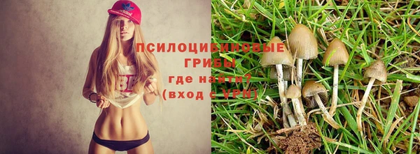 кокаин Арсеньев