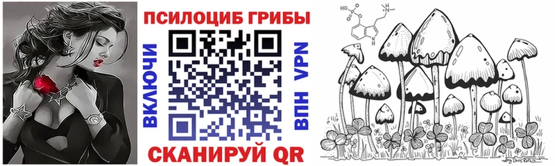 магазин продажи   Тулун  Галлюциногенные грибы мухоморы 